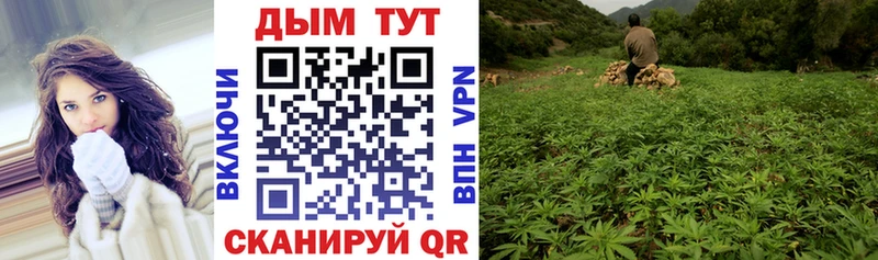 Виды наркоты Усть-Лабинск ГАШИШ  КОКАИН  mega ONION  Каннабис  Меф  Alpha-PVP 