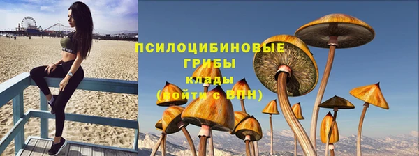 стафф Арсеньев